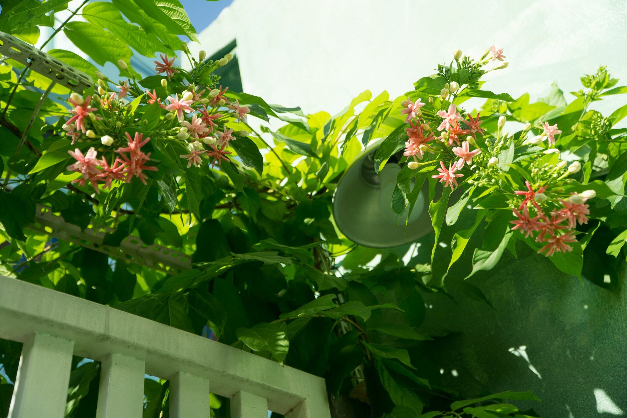 Nha Homestay דה נאנג מראה חיצוני תמונה